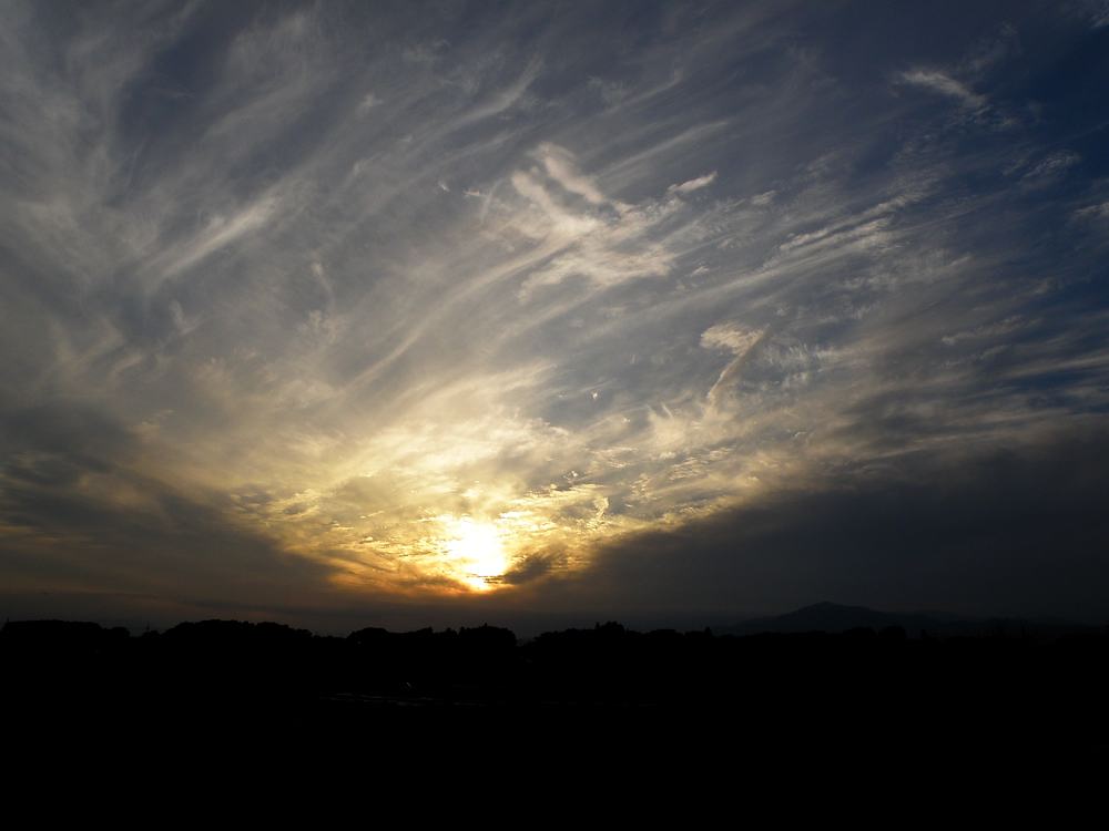 イソシギの採餌/夕焼け富士_b0024798_449338.jpg