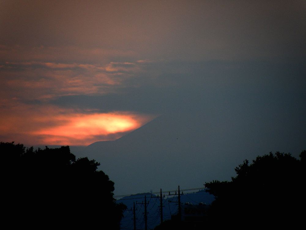 イソシギの採餌/夕焼け富士_b0024798_4495688.jpg