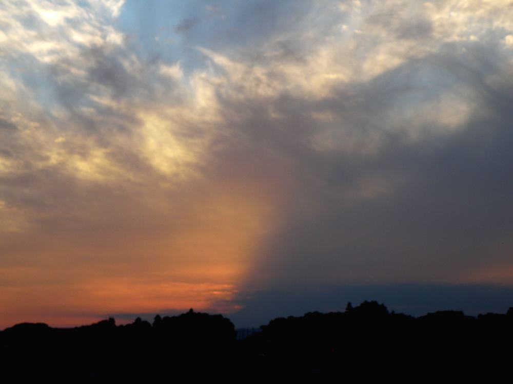イソシギの採餌/夕焼け富士_b0024798_450990.jpg