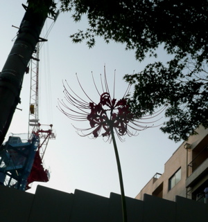 f0146198_1165396.jpg