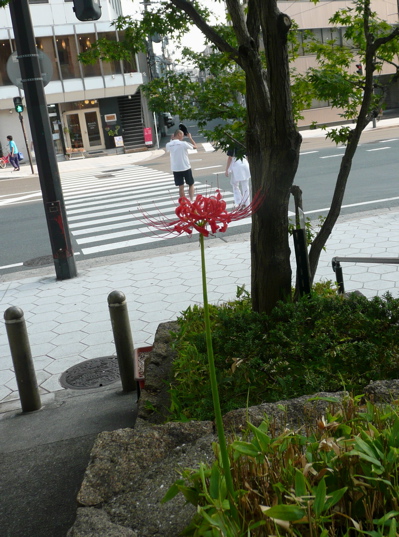 f0146198_124538.jpg
