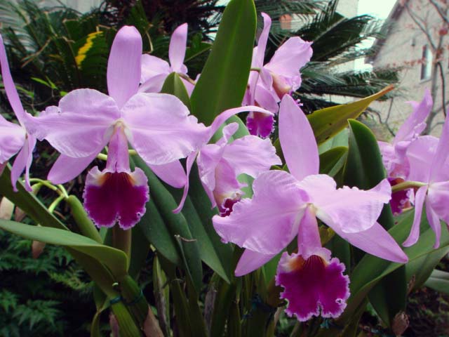 d0007501_130588.jpg
