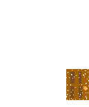 a0050302_454928.gif