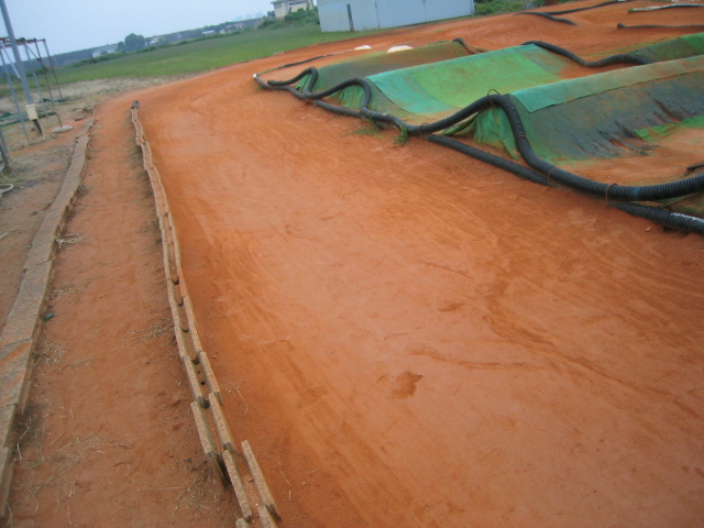 d0070007_16274981.jpg