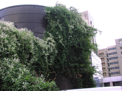 f0160407_6341139.jpg