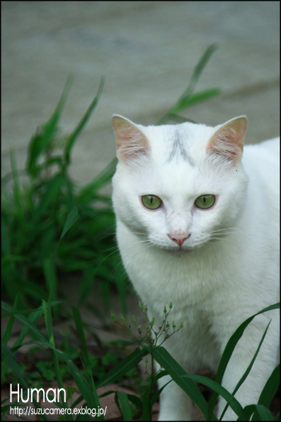 人 _f0100215_1529225.jpg