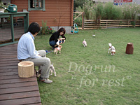 e0100618_10184122.jpg