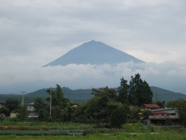 富士山と、田んぼと、畑と、パン屋さん~♪_b0093221_1736437.jpg
