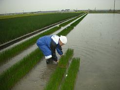 2008・今年も熊本へ（仕事しまくり）_b0091423_23135631.jpg