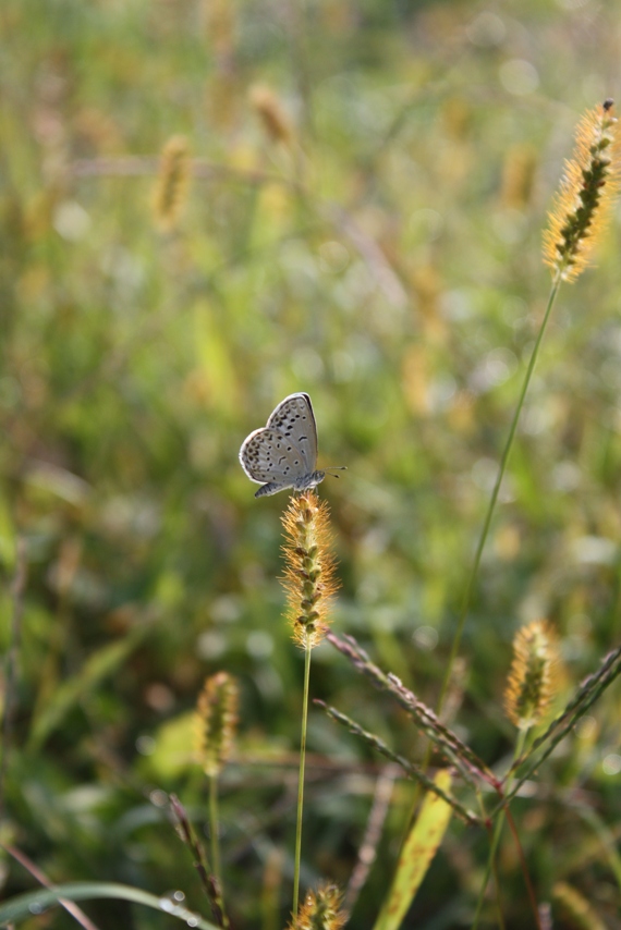 b0146723_17281164.jpg