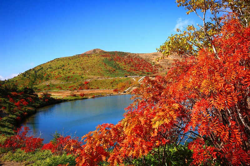 紅葉シーズン到来 徒然草津