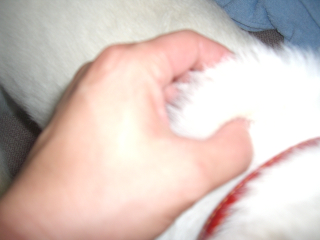 c0123029_205637.jpg