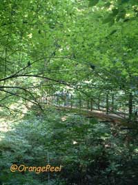 f0088032_00838.jpg