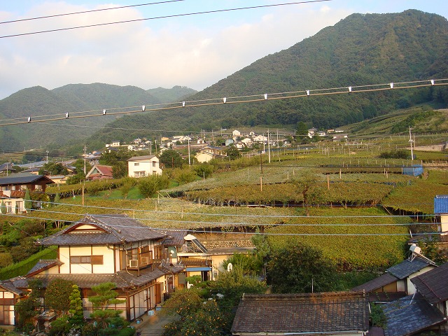 a0046339_13174462.jpg