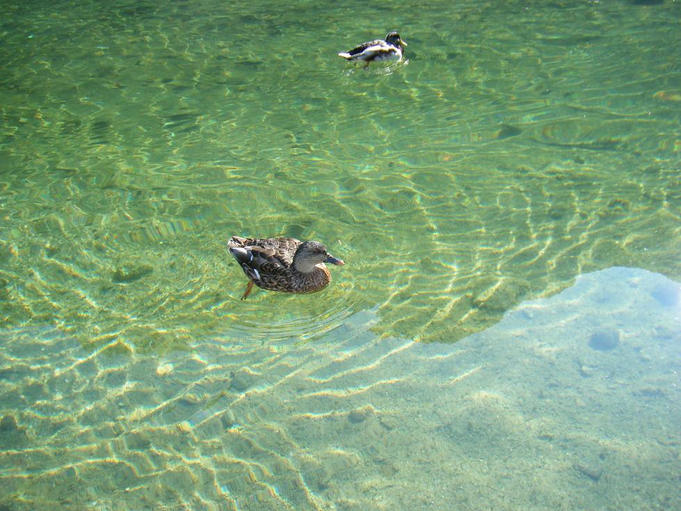Koenigsee(王様湖)_d0024140_18105074.jpg