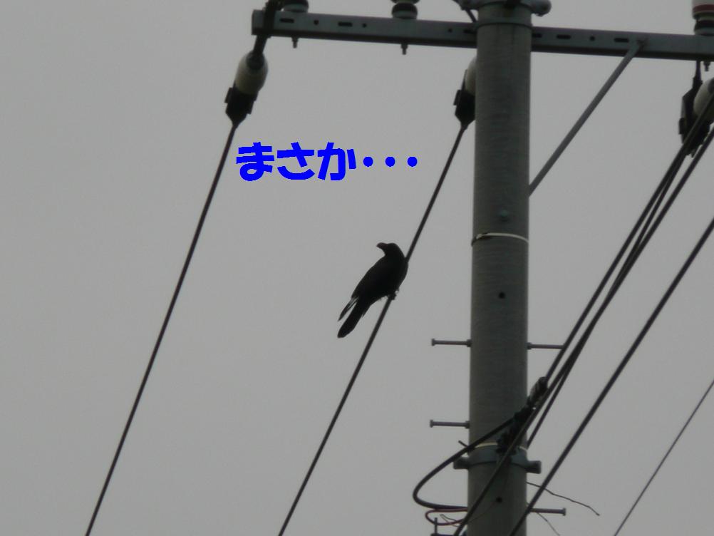 c0147241_20174293.jpg