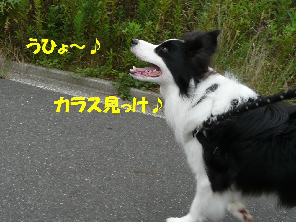 c0147241_20175243.jpg