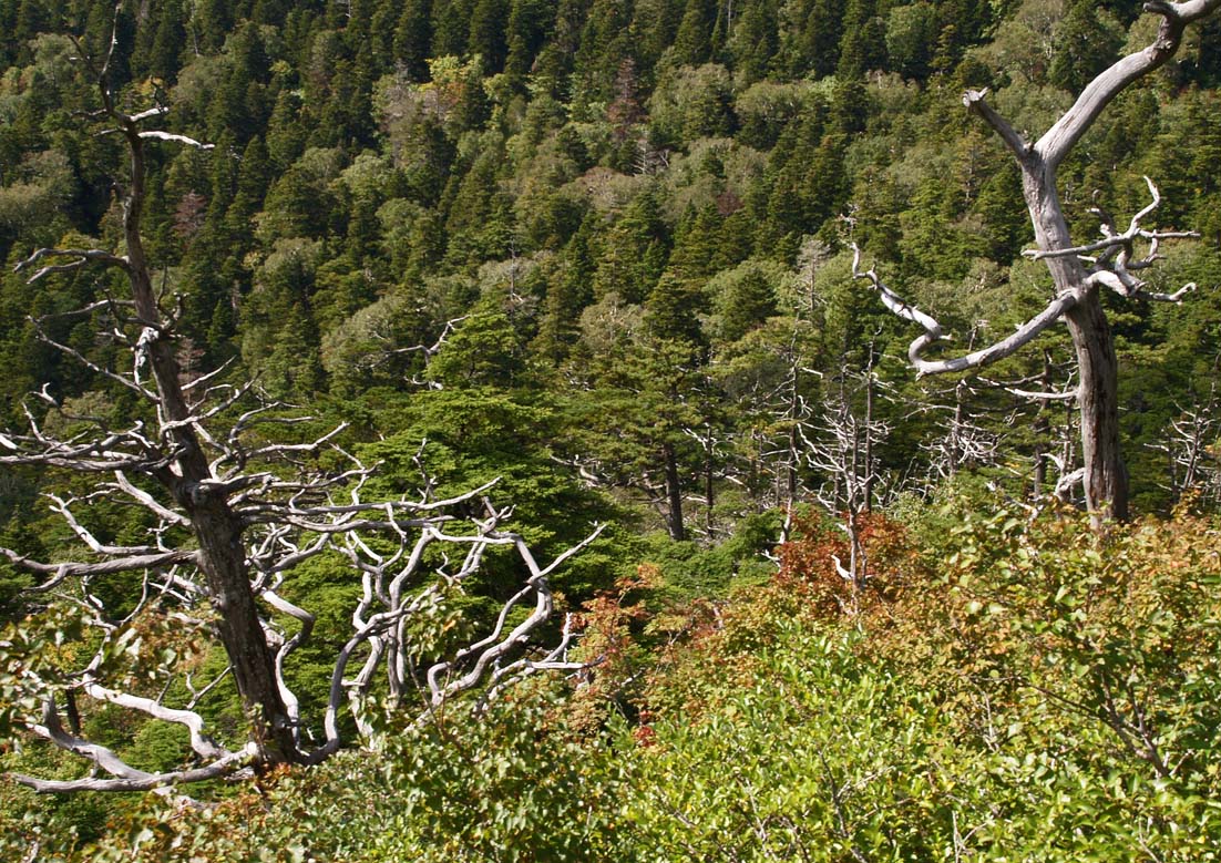 東北旅行_c0094546_22202197.jpg