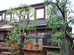 すっきり~_a0089450_14391090.jpg