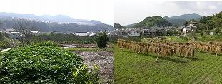 b0148050_1412183.jpg