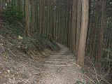 b0148050_14442899.jpg