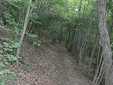 b0148050_144485.jpg