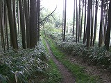b0148050_14461031.jpg