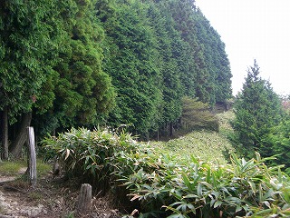 b0148050_14465540.jpg