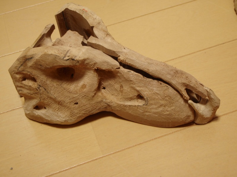 Tyrannosaurus head 09_e0064457_13196.jpg