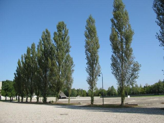 Barracks in the camp site_c0157558_1733489.jpg