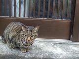 c0047860_1833394.jpg