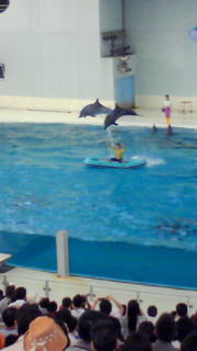 ドライブ(^0^)v_a0088668_12164037.jpg