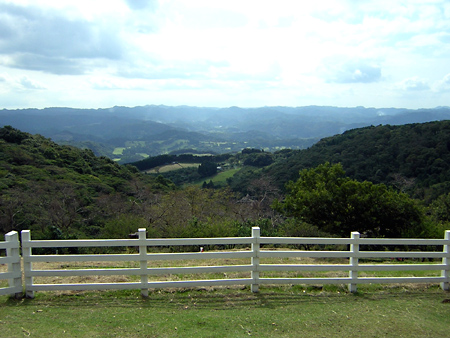 e0081370_2203138.jpg