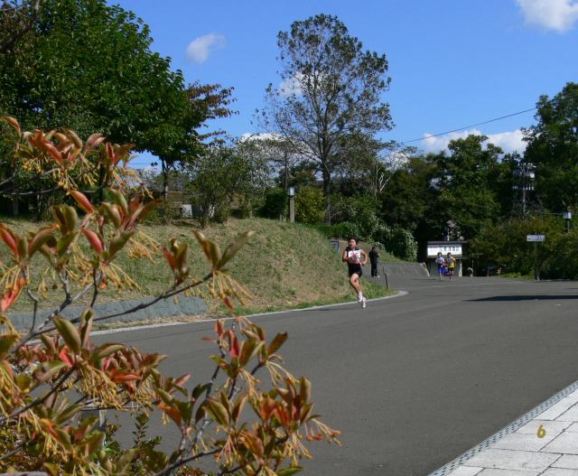 f0166871_5474523.jpg