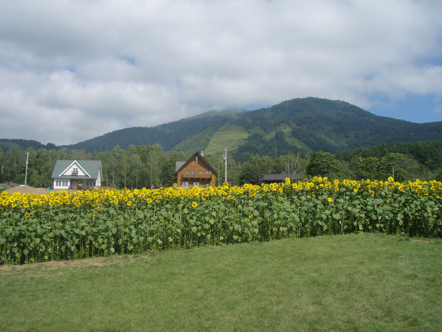 ８月１６日　ハイエース組　最北端へ出発_d0067477_20362616.jpg