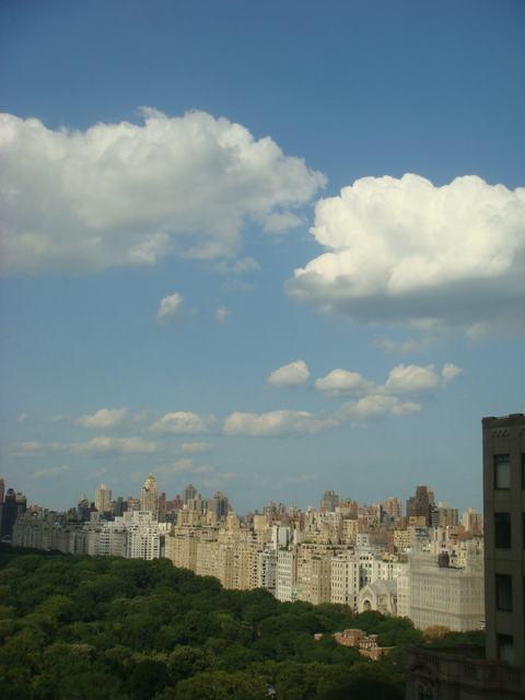 d0100880_22394746.jpg