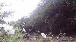 f0098680_19394780.jpg