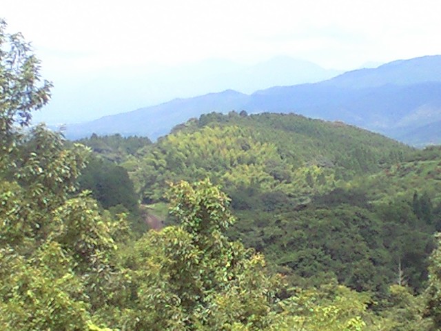 b0005281_2321342.jpg