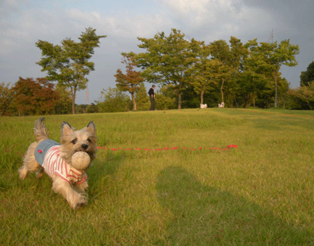 e0066883_21435945.gif