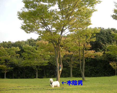 久々に稲荷公園だ！_e0066883_2147324.gif