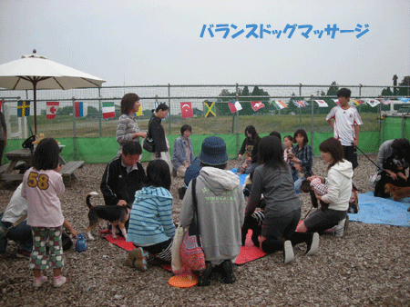 e0066883_2215177.gif