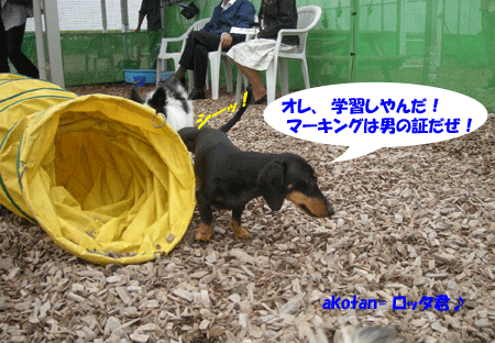 e0066883_22154672.gif