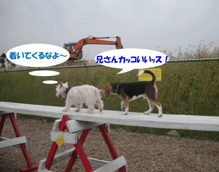 e0066883_22173625.gif