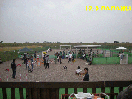 e0066883_2244484.gif