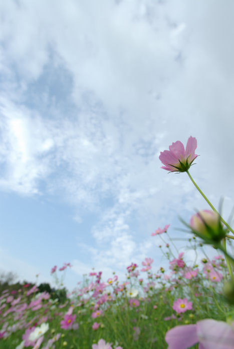 c0152288_619201.jpg