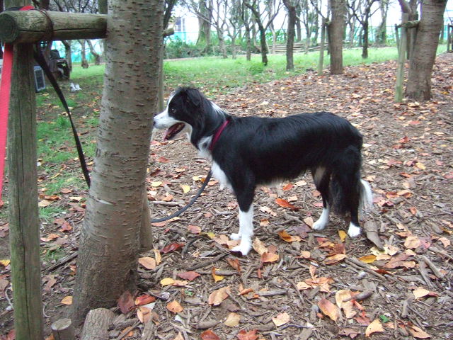 f0054290_22243970.jpg