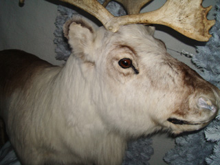 c0089792_143321.jpg