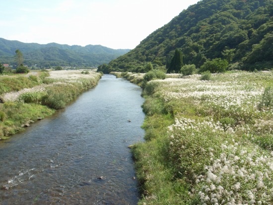 蒜山高原自転車道_f0073398_76225.jpg