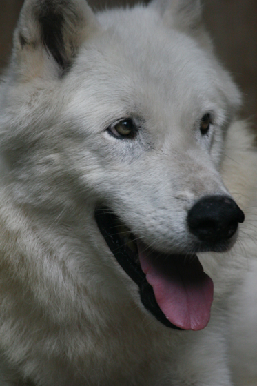 自覚_b0016600_2133129.jpg