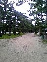 d0090800_047558.jpg